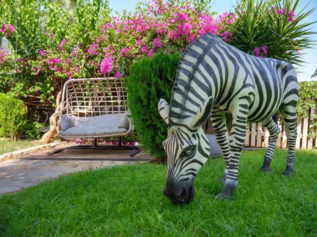 İllusion Beach Club Hotel + 16