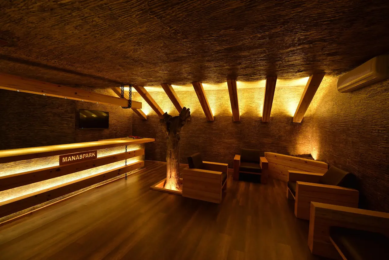 Manaspark Deluxe Hotel