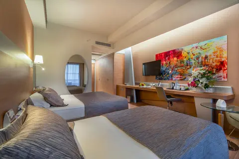 Deluxe Şehir Manzaralı Balkonlu Oda — oda görseli